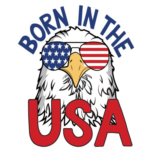 Born In The USA Magnet