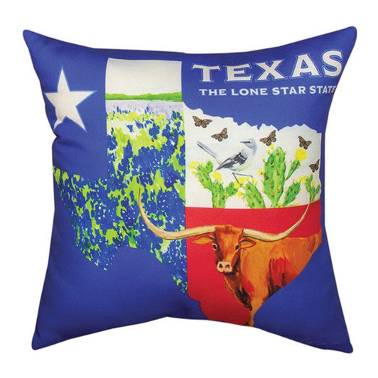 Texas Collage Pillow