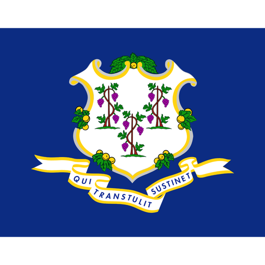 Connecticut State Flag - Symonds Flags