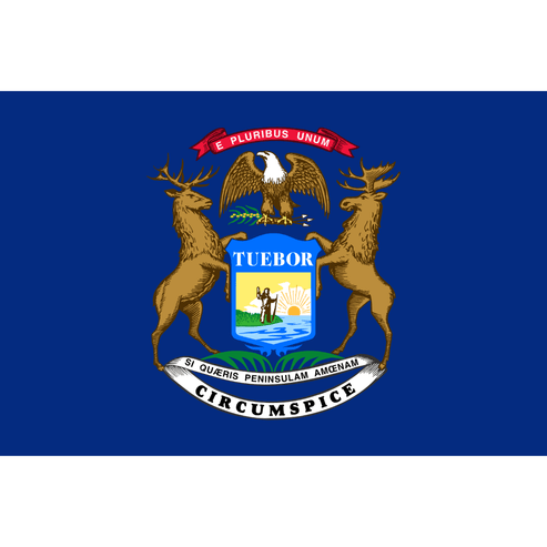Michigan State Flag: Navigating the Great Lakes State's Bold Frontier