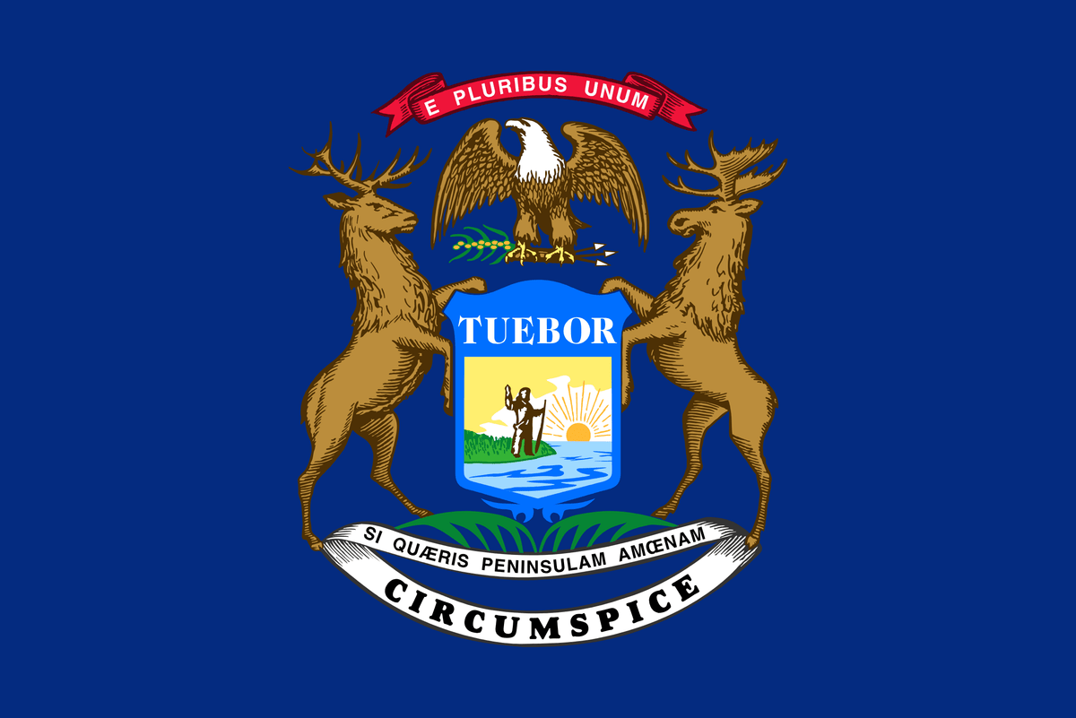 Rsym Flag Michigan State Flag: Navigating the Great Lakes State's Bold Frontier ...