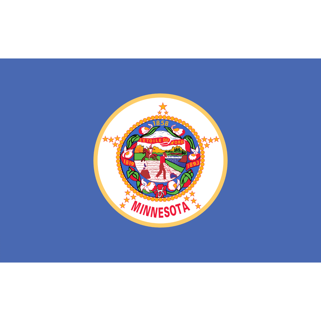 Minnesota State Flag - Symonds Flags